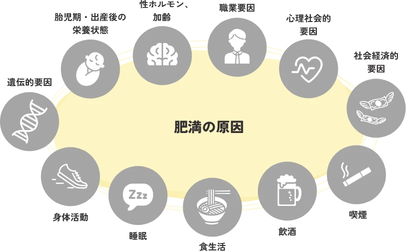 肥満の原因は職業要因、心理社会的要因、社会経済的要因、喫煙、飲酒、食生活、睡眠、身体活動、遺伝的要因、胎児期・出産後の栄養状態、性ホルモン、加齢