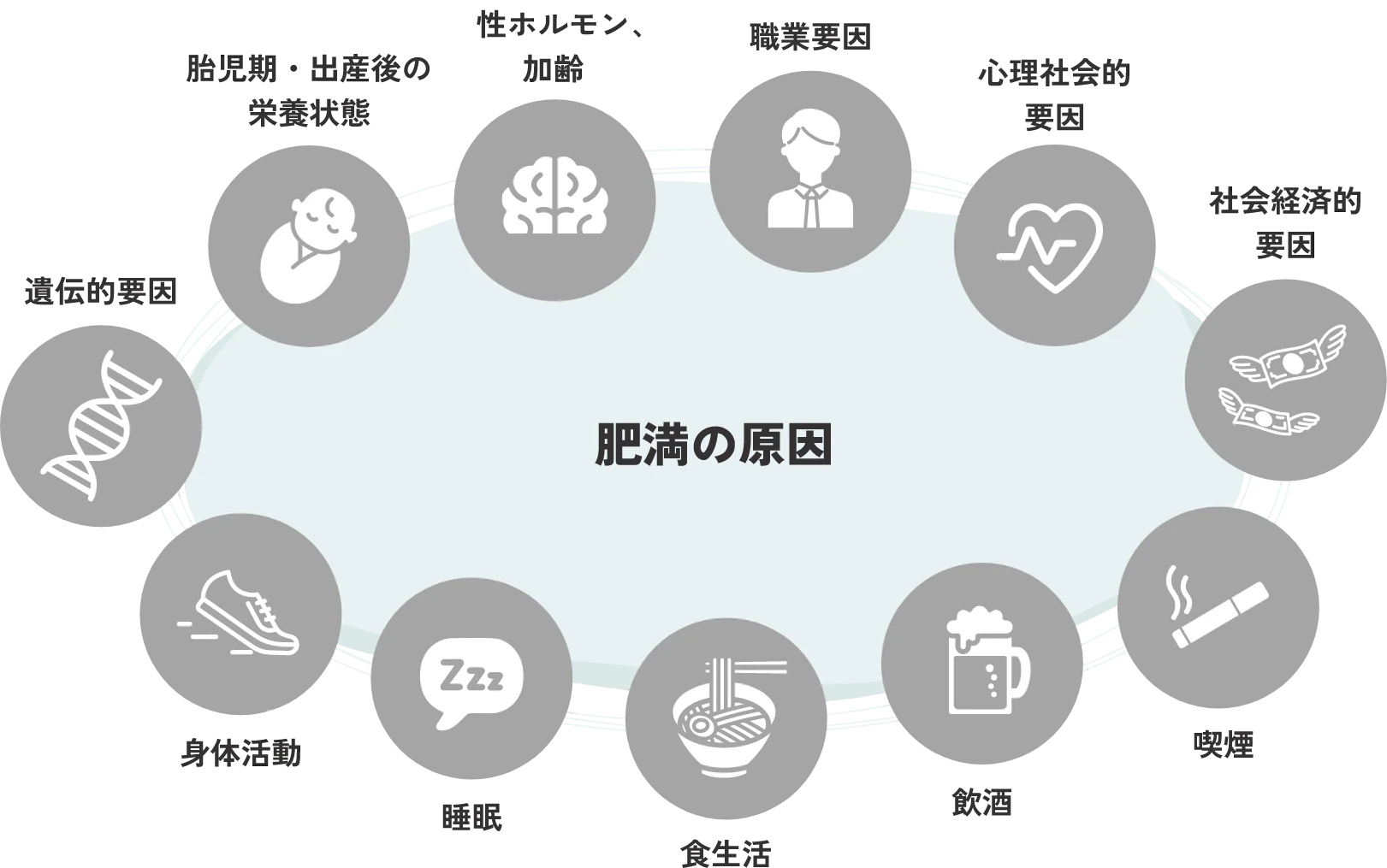 肥満の原因は職業要因、心理社会的要因、社会経済的要因、喫煙、飲酒、食生活、睡眠、身体活動、遺伝的要因、胎児期・出産後の栄養状態、性ホルモン、加齢