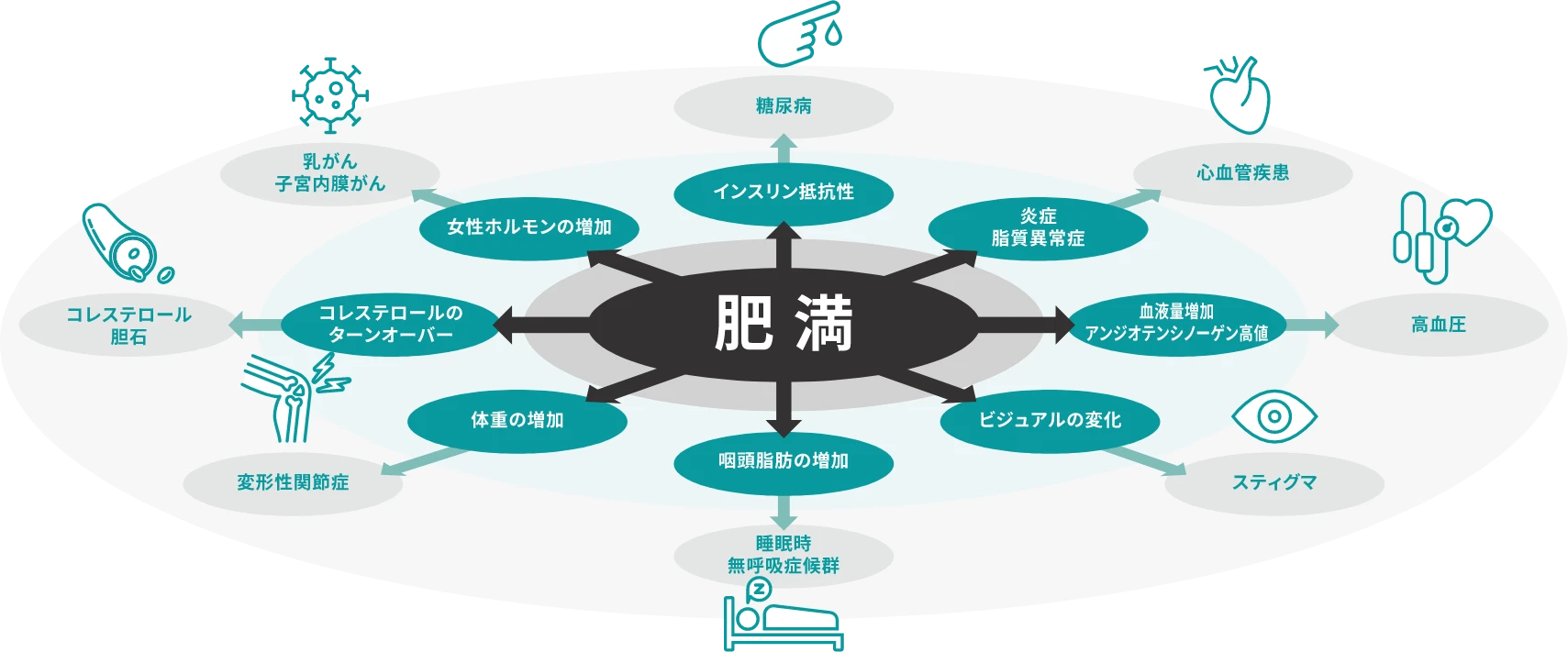 肥満→インスリン抵抗性→糖尿病、肥満→炎症脂質異常症→心血管疾患、肥満→血液量増加アンジオテンシノーゲン高値→高血圧、肥満→ビジュアルの変化→スティグマ、肥満→咽頭脂肪の増加→睡眠時無呼吸症候群、肥満→体重の増加→変形性関節症、肥満→コレステロールのターンオーバー→コレステロール胆石、肥満→女性ホルモンの増加→乳がん・子宮内膜がん